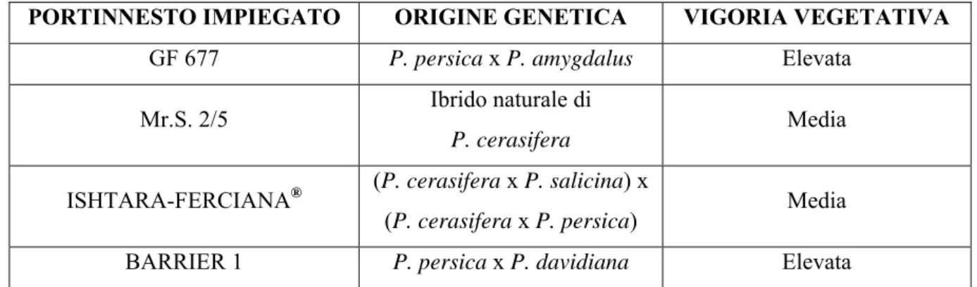 Tabella 2.1: Caratteristiche dei portinnesti impiegati nelle prove. La vigoria vegetativa è riferita ai valori di area  fogliare (m 2 /pianta)