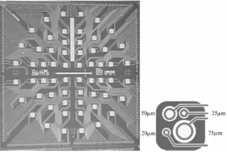Figura 1.9: Struttura del sensore SPADA: a sinistra l’array di 60 pixel  costituente l’intero sensore; a destra una schematizzazione del singolo 