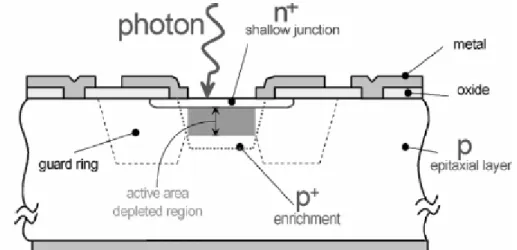 Figura 1.11 :   Sezione di un sensore SPAD: da notare la planarità del 