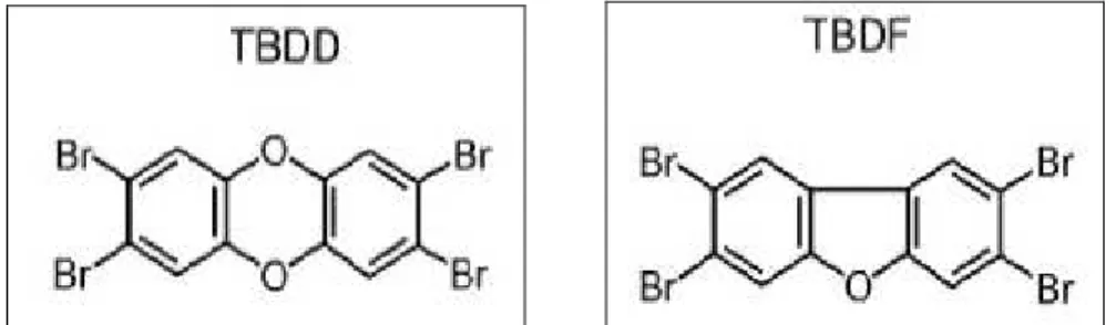 Figura  1.4:  Struttura  chimica  della  tetrabromodibenzodiossina  (TBDD)  e  del  tetrabromodibenzofurano 