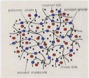 Figura 2.8.  Gel ionico in soluzione   [3]