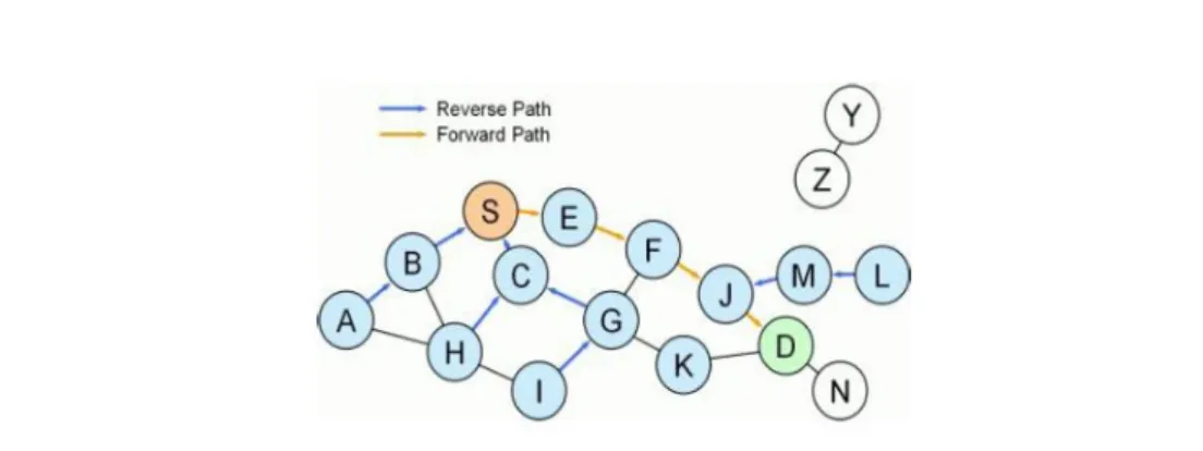 Figura 4.18:  Esempio di comunicazione tra due nodi tramite AODV. La connessione tra i  nodi S, D è stata stabilita