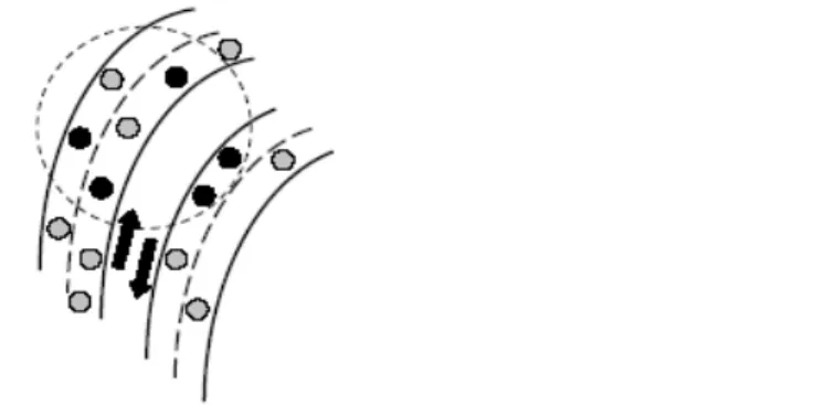 Figura 6.6: Il nodo grigio viene illuso nella topologia dagli attacchi da parte dei nodi maligni in nero