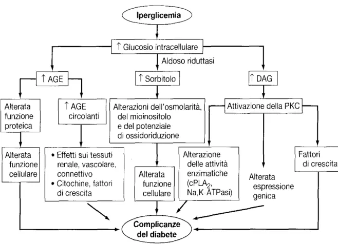 Figura 4. Complicanze del Diabete Mellito.