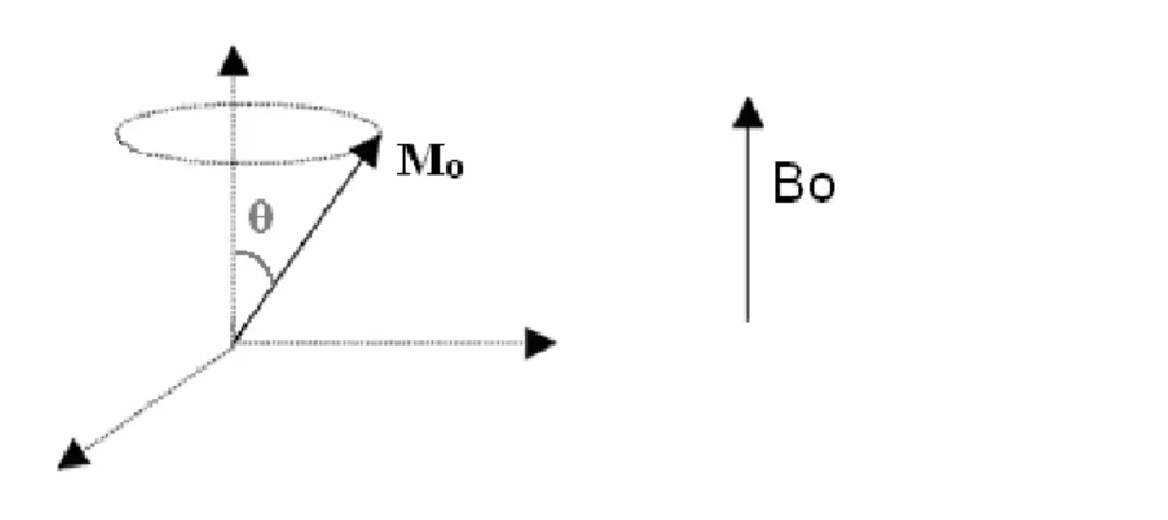 Fig. 2 Rotazione del vettore M o 