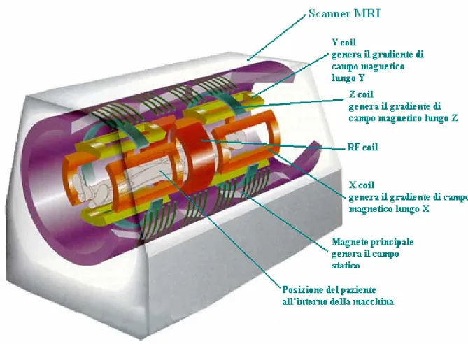 Fig. 4 Struttura interna di uno scanner MRI 