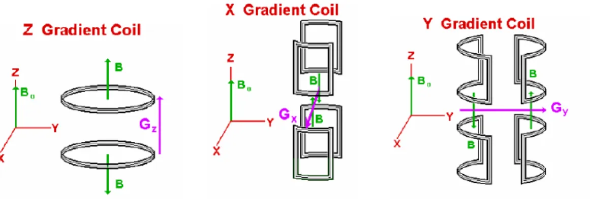 Fig. 5 Bobine per la generazione dei Gradienti di campo magnetico 