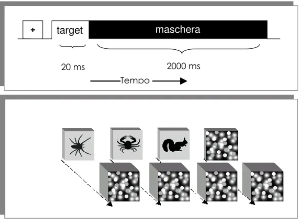 Figura  1.  Nel  pannello  superiore  è  mostrato  il  diagramma  temporale  di  una  singola  presentazione  retromascherata