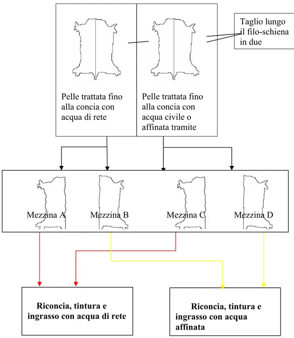 Figura 12.2.1: schema generale riassuntivo della metodologia di conduzione delle 