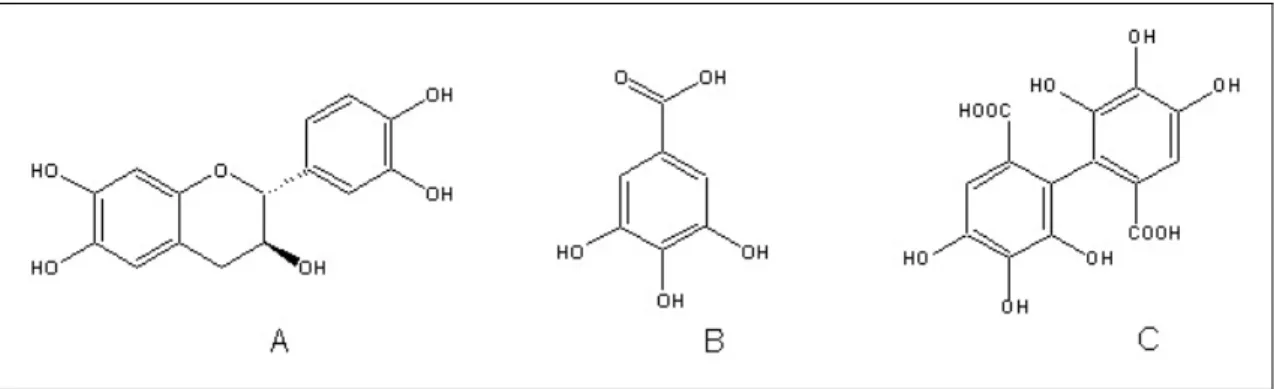 Figura 2.3.1 A) Struttura della Catechina, B) Molecola dell'Acido Gallico, C) Molecola 