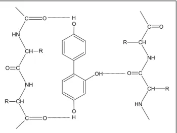 Figura 2.3.2 - Formazione dei legami trasversali attraverso legami idrogeno 