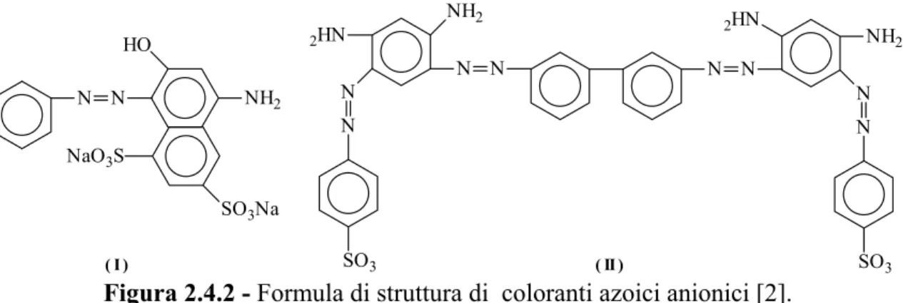 Figura 2.4.2 - Formula di struttura di  coloranti azoici anionici [2]. 