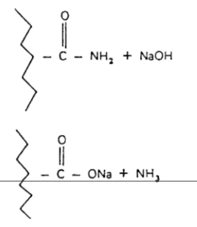 Figura 3.3.1  Trasformazione di un gruppo ammidico in un  gruppo carbossilico per  mezzo di un alcale 