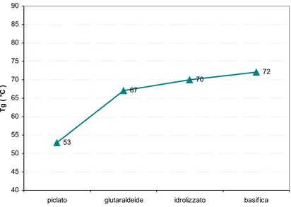 Figura 7.2.7 - Incremento Tg prova 6 (GTA 1% - idrolizzato 10%)