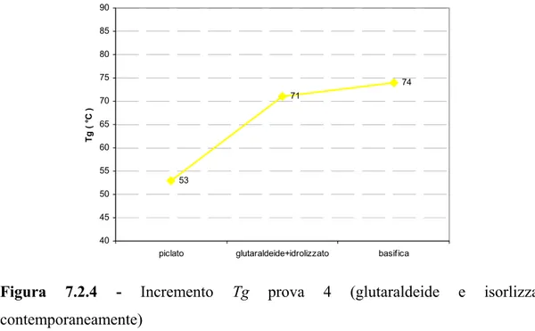 Figura 7.2.4 - Incremento  Tg prova 4 (glutaraldeide e isorlizzato 