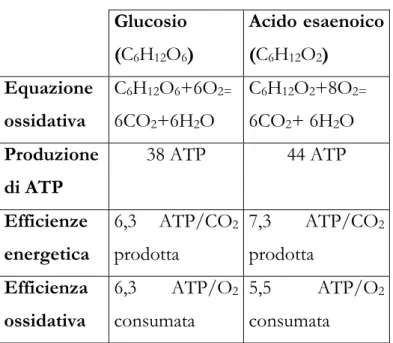 Tabella 4.1. Confronto tra l’ossidazione di glucosio e il corrispondente acido a ugual  numero di atomi di carbonio, l’acido esaenoico, in termini di produzione di ATP, efficienza  energetica (numero di moli di ATP prodotta per mole di CO 2  liberata) ed e