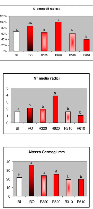 Figura 5.2.  Effetto della luce rossa applicata per periodi diversi sulla             radicazione radicazione di germogli di melo MM106 coltivati in vitro