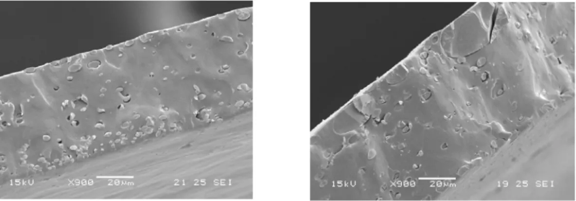 Figura 2.2.3 Immagine SEM delle sezioni relative ai film SBS05 (sinistra) e SBS15 (destra), con un 
