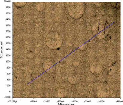 Figura 2.2.10 Immagine relativa alla superficie del film SBS40 ottenuta dal microscopio collegato allo 