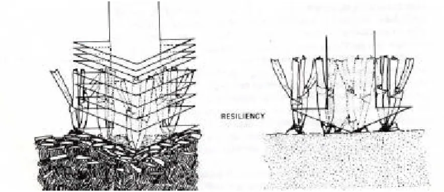 Figura 8 Resilienza (Turgeon, 1980) 