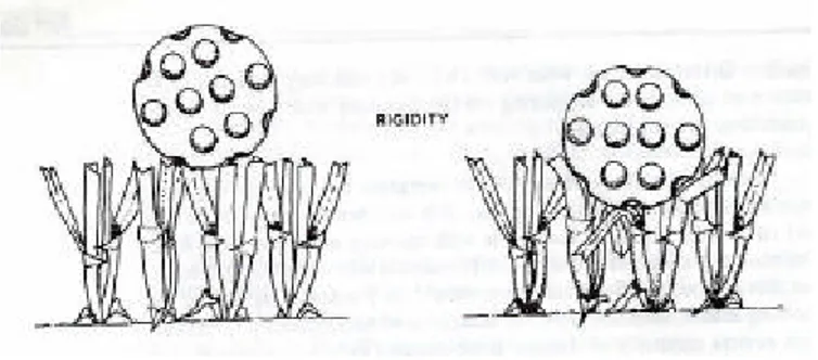 Figura 9 Rigidità (Turgeon, 1980) 