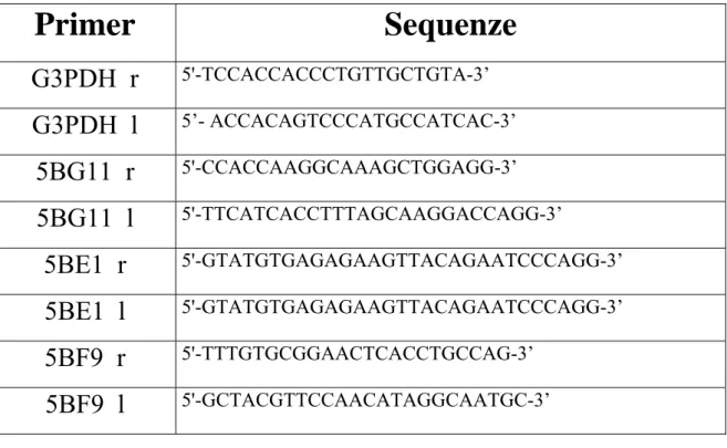 Tabella 1 : sequenze dei primers utilizzati nella RT-PCR relativa 