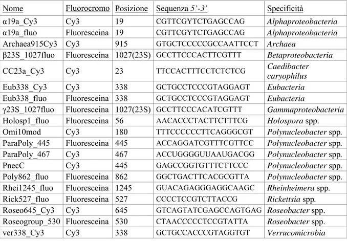 Tabella 2.3: Quadro riassuntivo delle sonde oligonucleotidiche utilizzate. I marcatori fluorescenti  impiegati sono stati fluoresceina e Cy3