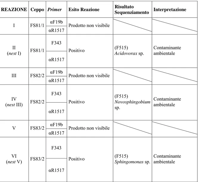 Tabella II.3: Tentativi di amplificazione della gene codificante per il 16S rRNA del simbionte  secondario di F