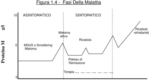 Figura 1.4 -  Fasi Della Malattia                      10        ASINTOMATICO                    SINTOMATICO                                                                                                      Ricaduta                                      