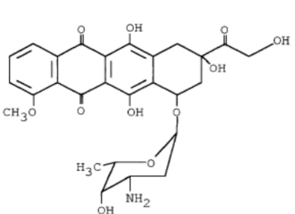 Figura 1.12 - Doxorubicina 