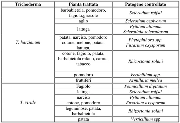 Tabella  1.1:  Funghi  fitopatogeni  controllati  da  alcune  specie  di  Trichoderma  Harman  and  Kubicek, 1997 