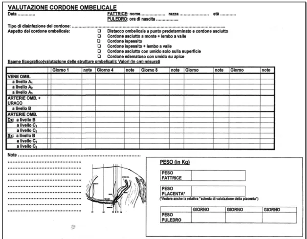 Tabella 1. Valutazione cordone ombelicale. 