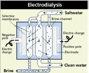 Figura 3-4 Schema di processo  dell'elettrodialisi 