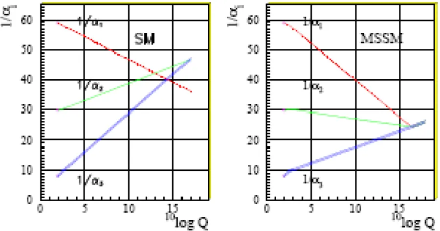 Figura 1.3: A sinistra le costanti di accoppiamento del MS in funzione del momento trasferito; a destra quelle della teoria SU (5) − SUSY GUT .