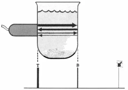 Fig.  12.  Disegno  che  mostra  l’origine  dei  riverberi.  Il  fascio  ultrasonoro  lascia  il trasduttore, colpisce un lato del recipiente e ritorna al trasduttore