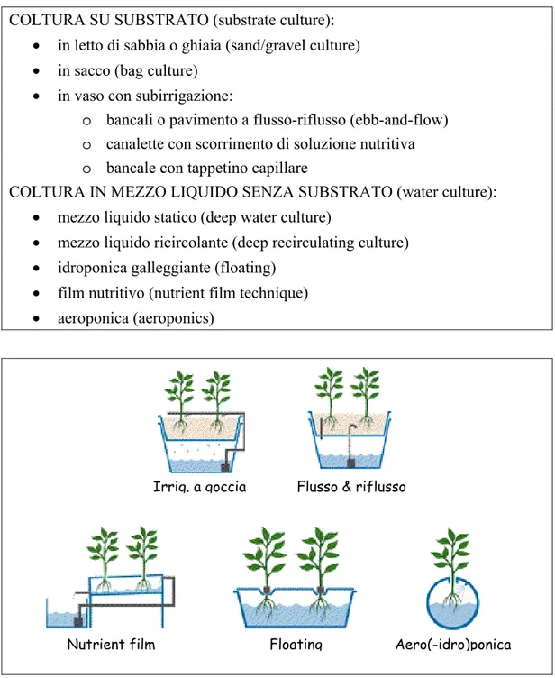 Tab. 1.2. Elenco delle tecniche di coltivazione su substrato e di quelle senza  substrato