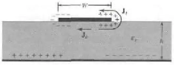 Figura 2.13 Distribuzione di carica e creazione della densità di corrente su un patch a microstriscia