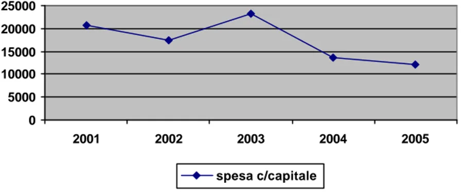 Fig .(12) Contributo percentuale delle funzioni con un grado di incidenza maggiore del 14%                rispetto al totale della spesa in conto capitale 
