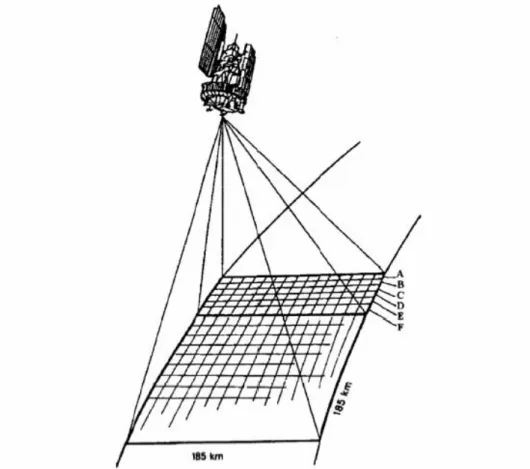 Figura 2.1:Esempio di swath di un satellite (Lezioni Università di Siena) 
