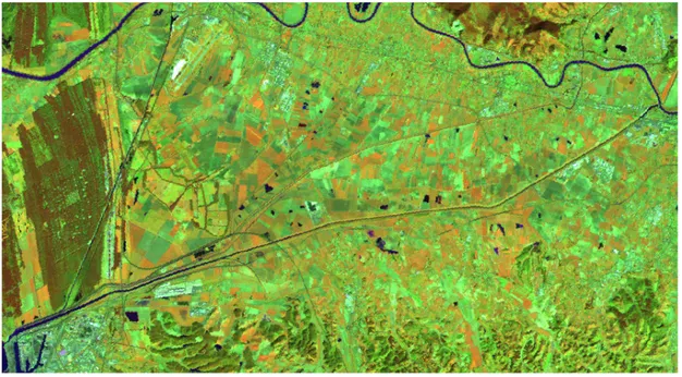 Figura 3.3 Immagine Landsat “04_03_03” (INGV) RGB FCC 453  Esempio di zona Agricola stagionale  (Pisa) 