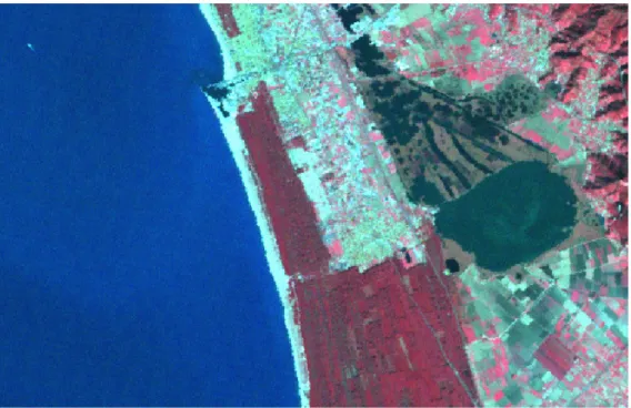 Figura  3.6  Immagine  Landsat  “01_02_15”(INGV)  RGB  FCC  453    Esempio  di  suolo  nudo  o  scarsamente  vegetato (spiaggia), Acque interne (lago di Massaciuccoli) e Acque marine 
