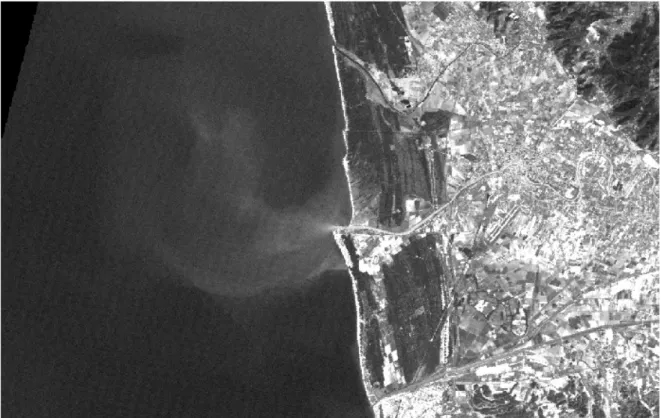 Figura 4c Immagine Landsat 01_02_15  FCC  RGB 333 