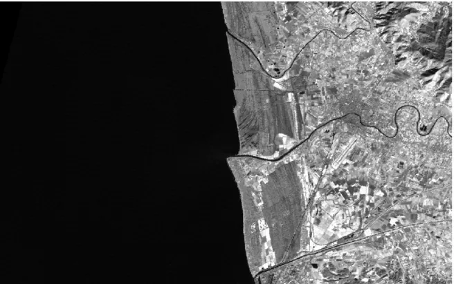 Figura 4d Immagine Landsat 01_02_15  FCC  RGB 444 