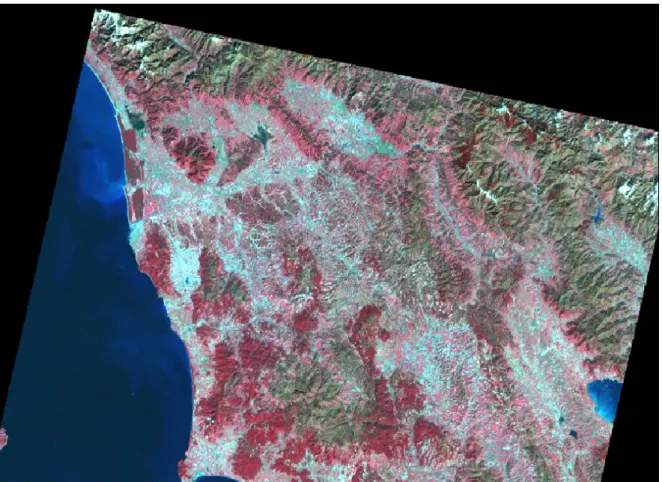 Fig 5.1 Immagine Landsat “01_02_15” (INGV) RGB FCC 432   