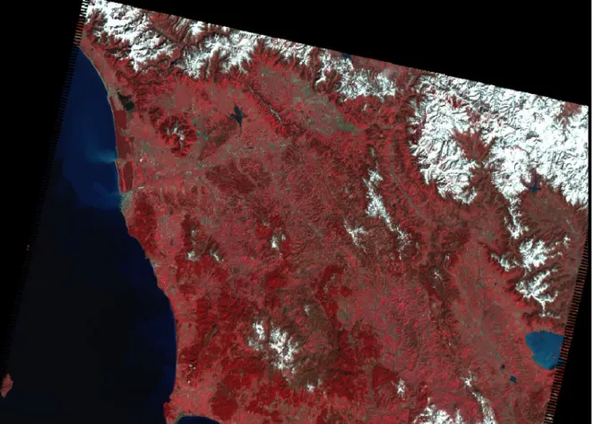 Fig 5.5 Immagine Landsat “04_03_03” (INGV) RGB FCC 432 
