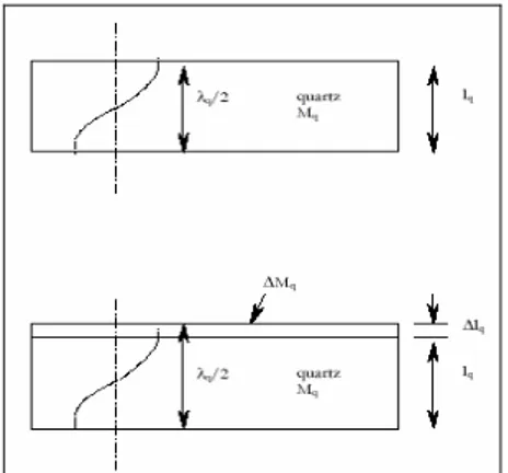 Figura 3.4  Rappresentazione schematica del modello di Suerbrey                                      per l’incremento di massa nel sensore piezoelettrico 