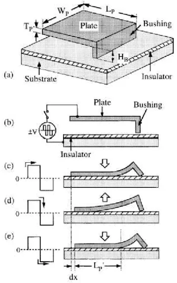 Figura 1.1  (a) Schema della struttura di un SDA. (b)-(e) Modello del movimento passo-passo del SDA quando è ad esso applicata