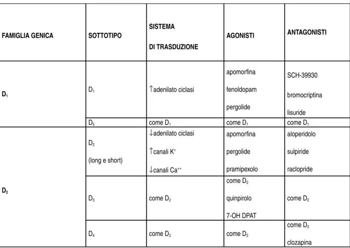 Fig . 7. Classificazione farmacologica dei recettori dopaminergici nel SNCFAMIGLIA GENICASOTTOTIPOSISTEMADI TRASDUZIONE AGONISTI ANTAGONISTID1D1↑adenilato ciclasiapomorfinafenoldopampergolideSCH­39930bromocriptinalisuride
