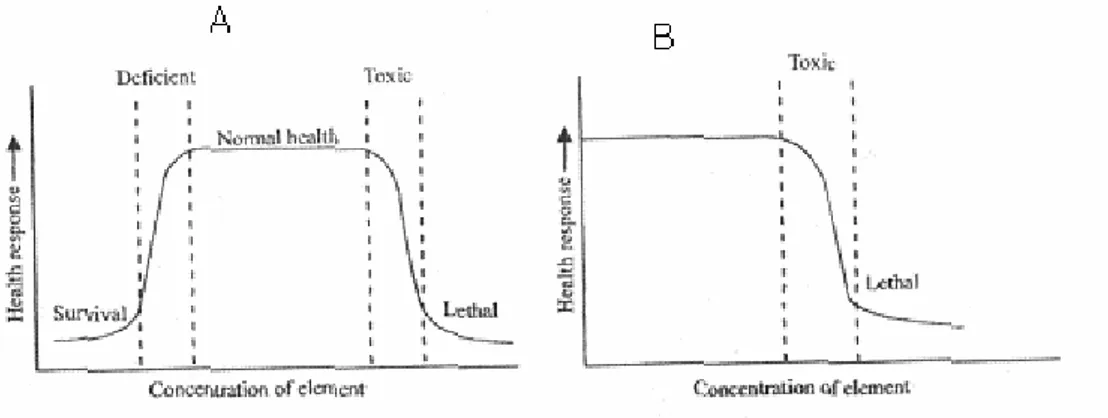 Figura 1.1 Crescita di un organismo con metalli essenziali (a) e non essenziali (b) 