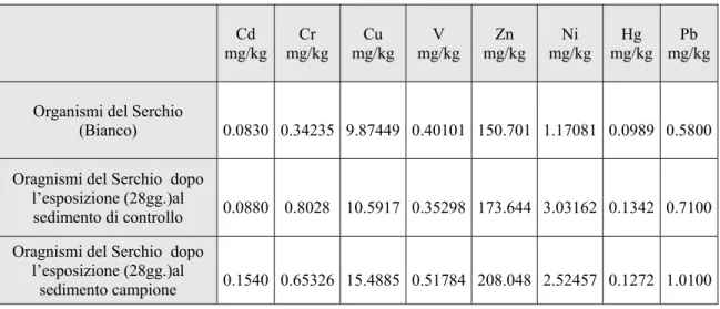 Tabella 3.5. Concentrazioni di metalli (mg/kg) rilevate nei tessuti degli organismi del Serchio al tempo 